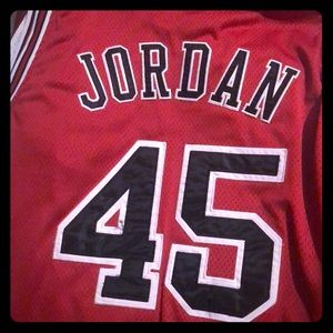 Jordan bulls